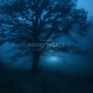 nightingale