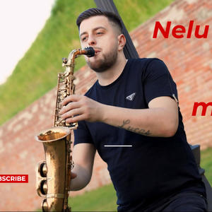 Colaj muzica 2024 Nelu Popa