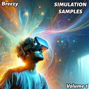 Simulation Samples Vol. 1 (Explicit)