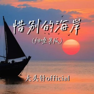 大头针 Official - 惜别的海岸 (烟嗓男版)