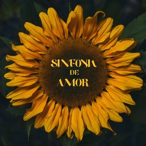 Sinfonia De Amor