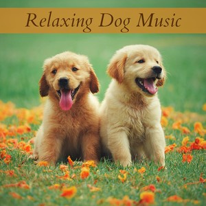 Music for Dogs Collective - Relaxing Dog Music