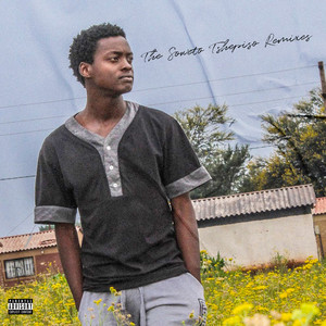 The Soweto Tshepiso Remixes (Explicit)