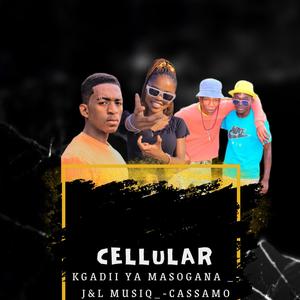 Cellular (feat. J&L Music And Cassamo) [Radio Edit]