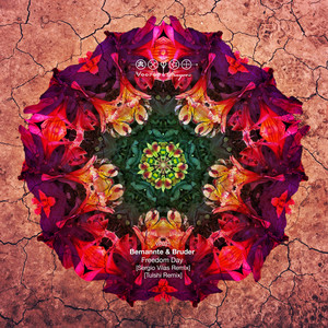 Freedom Day (Tulshi Remix)