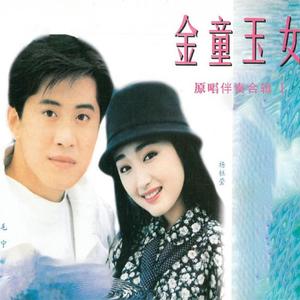 轻轻的告诉你 (伴奏)封面