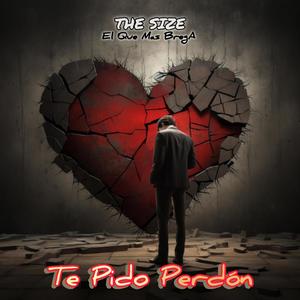 Te Pido Perdón (Special Version) [Explicit]