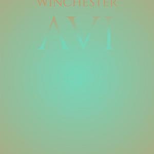 Winchester Avi