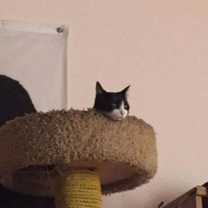 Honor Roll (Prod. Vdonsoundzserious)