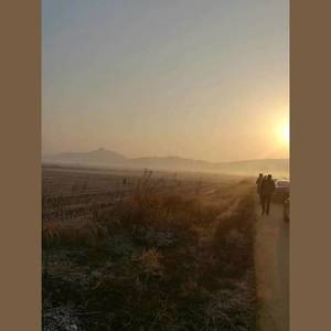 小酷熊 - 这一程