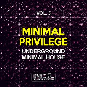 Minimal Privilege, Vol. 3 (Underground Minimal House)