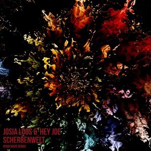 Scherbenwelt (Ryan Davis Remix)