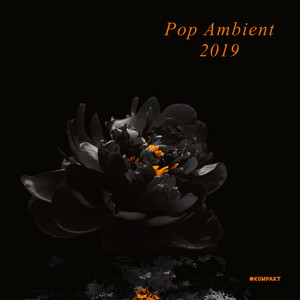 Pop Ambient 2019