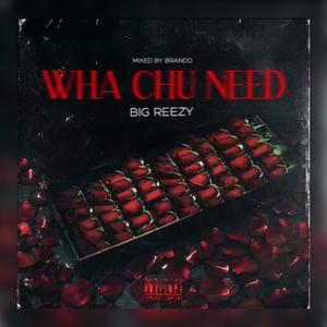 What chu Need(feat. BIG REEZY) (Explicit)