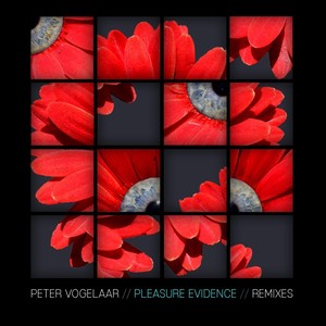 Pleasure Evidence Remixes