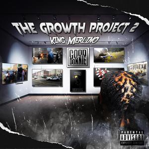The Growth Project 2 (Explicit)