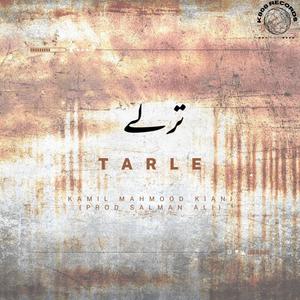 Tarle (feat. Salman Ali)