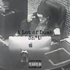 A Lot of Dumb Sh*t! (Explicit)