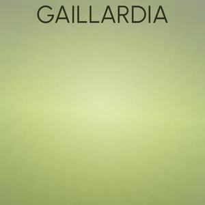 Gaillardia