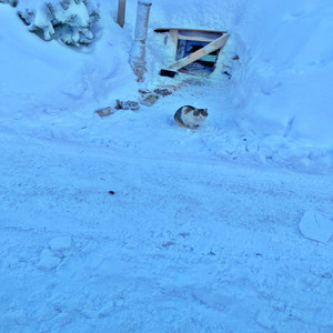 Останусь Дураком (speed up) (Explicit)