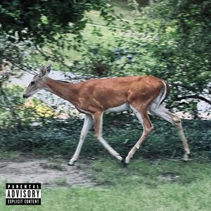 back & forth (feat. Dell'Angela) [Explicit]