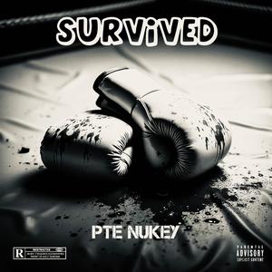 Survived (Explicit)
