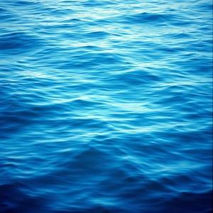 Whispers of Serenity