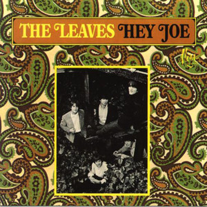 The Leaves - Too Many People