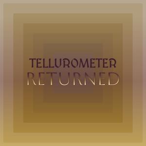 Tellurometer Returned