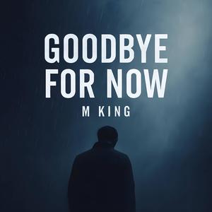 Goodbye For Now