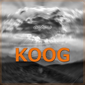 Koog