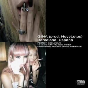 gina (feat. HeyyLouts) (Explicit)