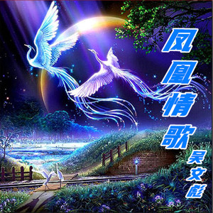 凤凰情歌