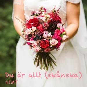 Du är allt (skånska)