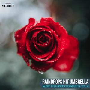 Raindrops Hit Umbrella - Music for Inner Cleanliness, Vol.4