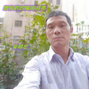 吴明忠 - 想你的时候问月亮
