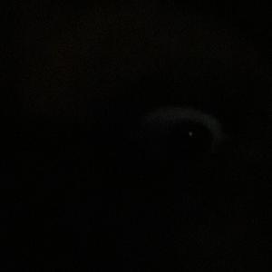 EVERYTHING IS GONE (Explicit)