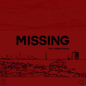 Missing (feat. Kerem Goral)