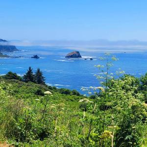 TMRW'S FOR EVERYONE (Explicit)