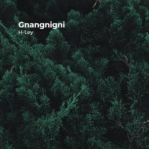 Gnangnigni