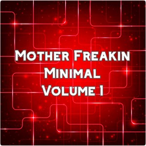 Mother Freakin Minimal, Vol.1 (BEST SELECTION OF CLUBBING MINIMAL TRACKS)