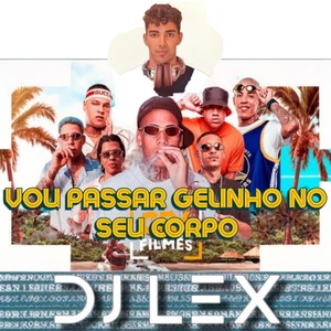 Vou Passar Gelinho (Remix)