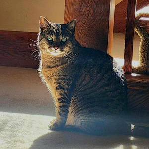 A Momentary Instance