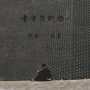 凄凉夜醉酒人
