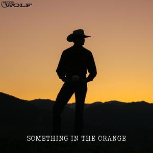 Something In The Orange