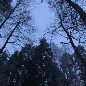 ты же готова убить меня (feat. Почему Дэнди) (Explicit)