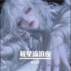 缀千灯 - 极星流浪夜