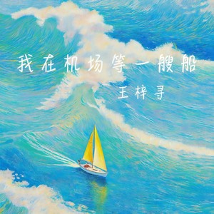 我在机场等一艘船