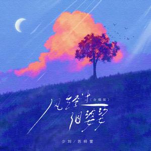 风经过 泪婆娑 (合唱版)