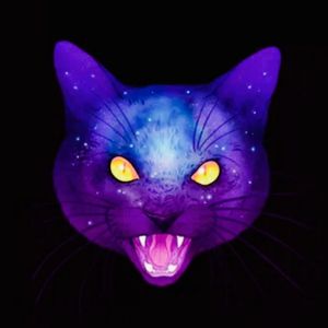 YAKUZA GANGSTERS CATS